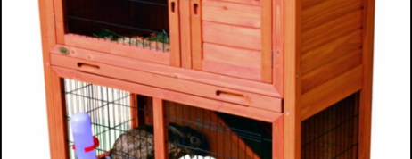 Selecting a best Hutch for your Dwarf rabbits